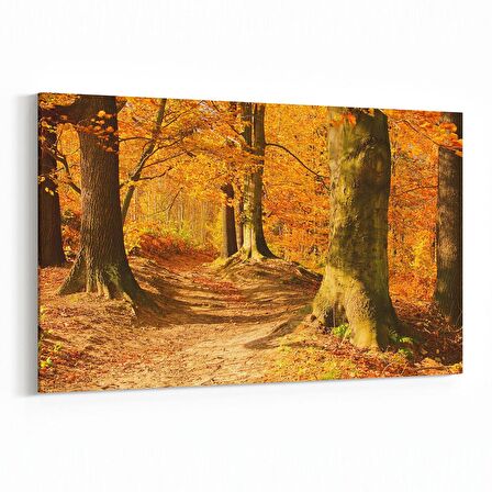 Olla 14344Y Doğa / Manzara Görseli Yatay Kanvas Tablo (Ölçü: 45X30)