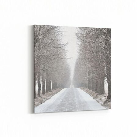 Olla 14403K Doğa / Manzara Görseli Kare Kanvas Tablo (Ölçü: 25X25)