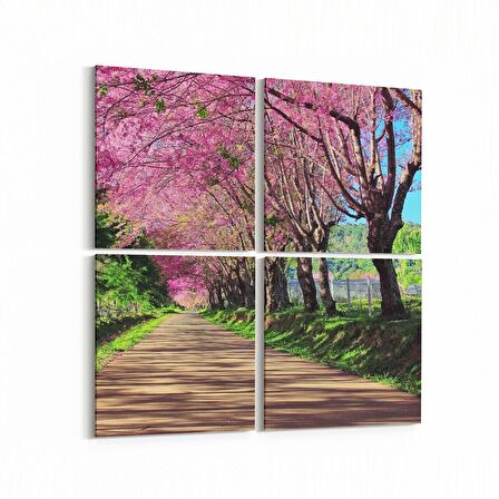 Olla 14633K4 Doğa / Manzara Görseli Kare 4'lü Kanvas Tablo (Ölçü: 65X65)