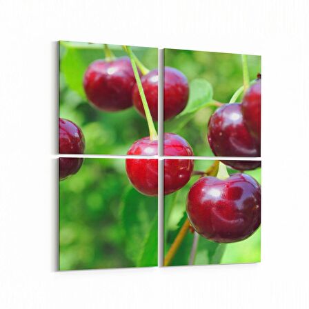 Olla 15303K4 Gıda Görseli Kare 4'lü Kanvas Tablo (Ölçü: 65X65)
