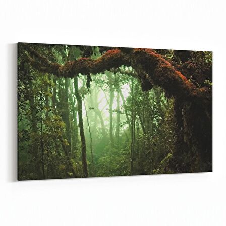 Olla 13514Y Doğa / Manzara Görseli Yatay Kanvas Tablo (Ölçü: 90X60)