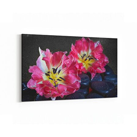 Olla 17070Y Spa / Masaj Görseli Yatay Kanvas Tablo (Ölçü: 45X30)