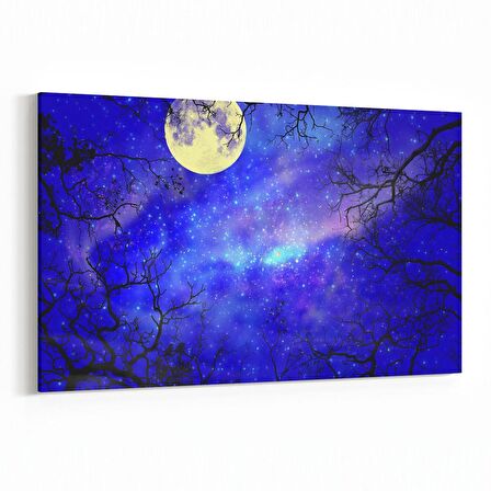 Olla 14790Y Gece Gökyüzü Görseli Yatay Kanvas Tablo (Ölçü: 150X100)