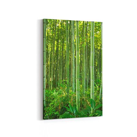 Olla 14377D Doğa / Manzara Görseli Dikey Kanvas Tablo (Ölçü: 60X90)