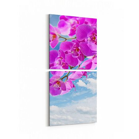 Olla 11713K2D Orkide Çiçek Görseli Kare 2'li Dikey Kanvas Tablo (Ölçü: 30X65)