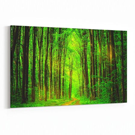 Olla 14469Y Doğa / Manzara Görseli Yatay Kanvas Tablo (Ölçü: 45X30)