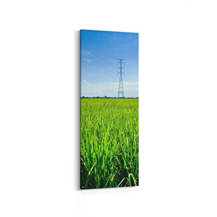 Olla 14556DI Doğa / Manzara Görseli Dikey İnce Kanvas Tablo (Ölçü: 40X120)