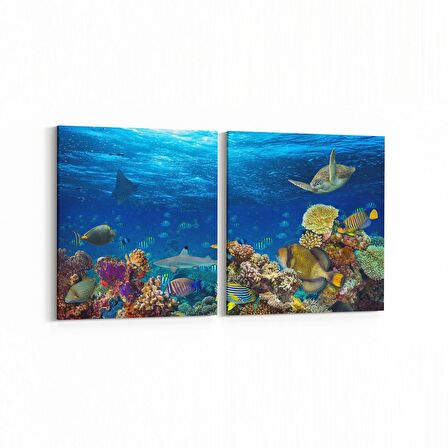 Olla 12160K2Y Akvaryum / Balık Görseli Kare 2'li Yatay Kanvas Tablo (Ölçü: 125X60)
