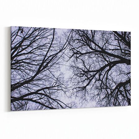 Olla 11022Y Ağaç Görseli Yatay Kanvas Tablo (Ölçü: 90X60)