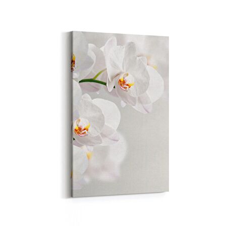 Olla 11704D Orkide Çiçek Görseli Dikey Kanvas Tablo (Ölçü: 60X90)