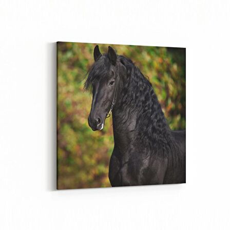 Olla 12509K Hayvanlar Alemi Görseli Kare Kanvas Tablo (Ölçü: 25X25)