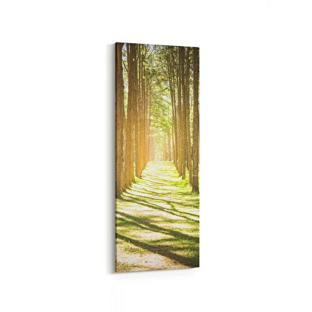 Olla 14322DI Doğa / Manzara Görseli Dikey İnce Kanvas Tablo (Ölçü: 40X120)