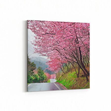 Olla 13692K Doğa / Manzara Görseli Kare Kanvas Tablo (Ölçü: 30X30)