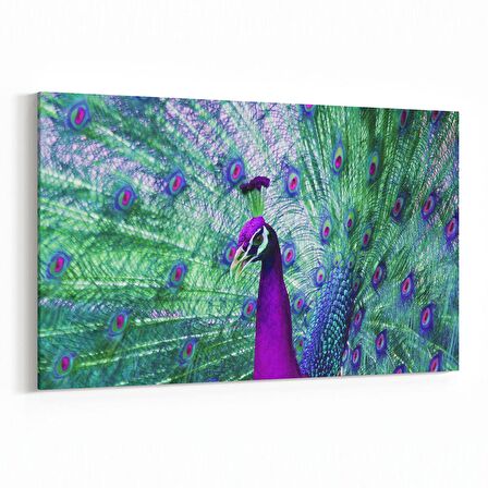 Olla 12625Y Hayvanlar Alemi Görseli Yatay Kanvas Tablo (Ölçü: 45X30)