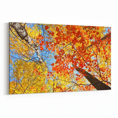 Olla 10908Y Ağaç Görseli Yatay Kanvas Tablo (Ölçü: 45X30)