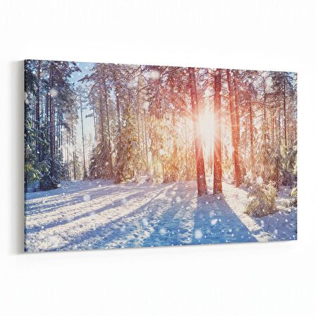 Olla 13534Y Doğa / Manzara Görseli Yatay Kanvas Tablo (Ölçü: 120X80)