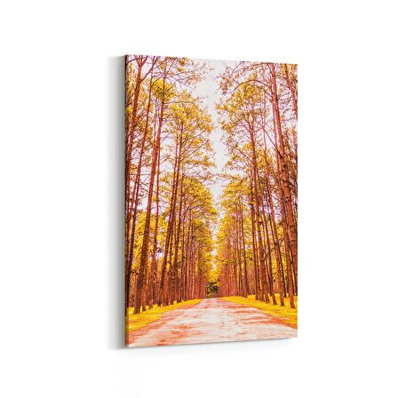 Olla 14101D Doğa / Manzara Görseli Dikey Kanvas Tablo (Ölçü: 100X150)