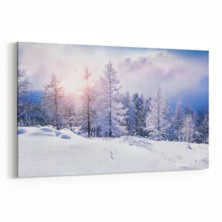 Olla 13758Y Doğa / Manzara Görseli Yatay Kanvas Tablo (Ölçü: 30X20)