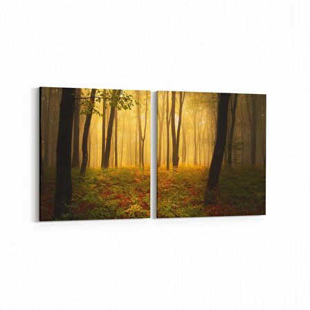 Olla 13374K2Y Doğa / Manzara Görseli Kare 2'li Yatay Kanvas Tablo (Ölçü: 125X60)