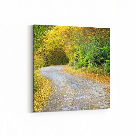 Olla 13224K Doğa / Manzara Görseli Kare Kanvas Tablo (Ölçü: 25X25)