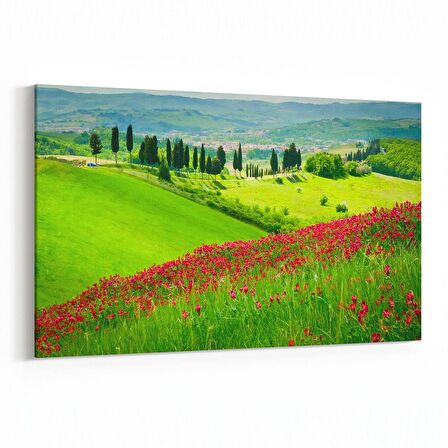 Olla 13361Y Doğa / Manzara Görseli Yatay Kanvas Tablo (Ölçü: 70X50)