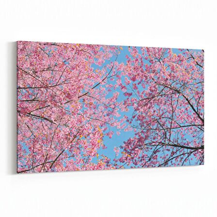 Olla 10491Y Ağaç Görseli Yatay Kanvas Tablo (Ölçü: 45X30)