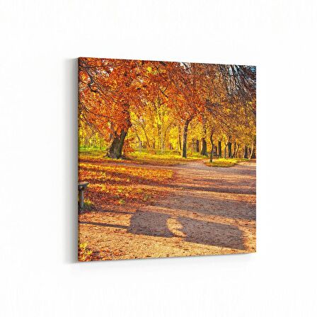 Olla 13554K Doğa / Manzara Görseli Kare Kanvas Tablo (Ölçü: 25X25)