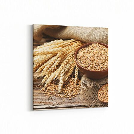 Olla 15150K Gıda Görseli Kare Kanvas Tablo (Ölçü: 25X25)