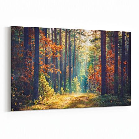 Olla 14508Y Doğa / Manzara Görseli Yatay Kanvas Tablo (Ölçü: 90X60)