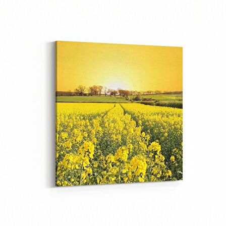 Olla 13536K Doğa / Manzara Görseli Kare Kanvas Tablo (Ölçü: 25X25)