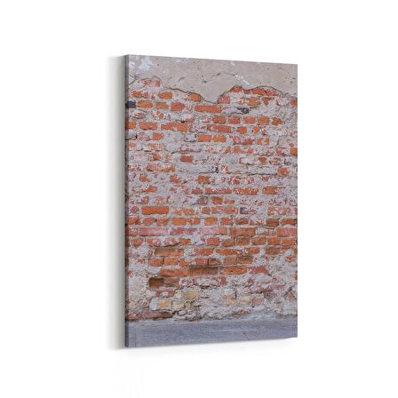 Olla 17323D Taş / Tuğla Görseli Dikey Kanvas Tablo (Ölçü: 100X150)