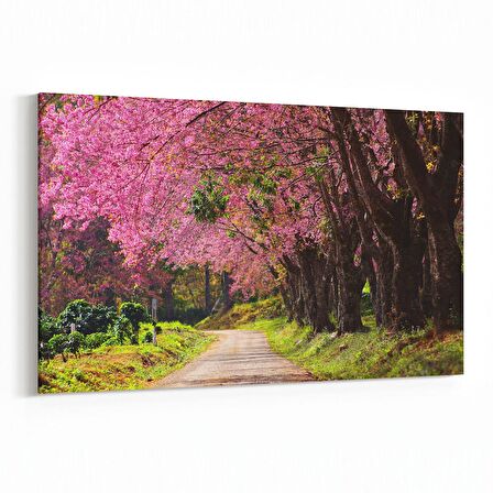 Olla 13347Y Doğa / Manzara Görseli Yatay Kanvas Tablo (Ölçü: 45X30)