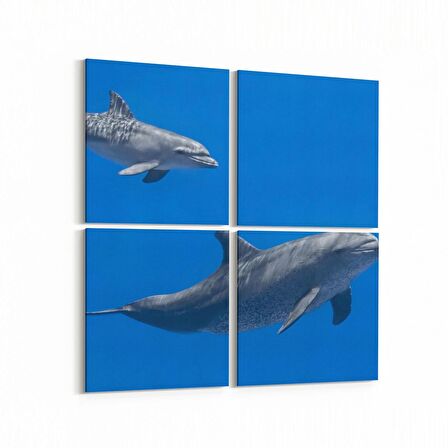 Olla 12951K4 Deniz / Okyanus Görseli Kare 4'lü Kanvas Tablo (Ölçü: 125X125)