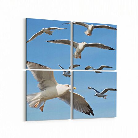 Olla 15833K4 Gökyüzü Kuşlar Görseli Kare 4'lü Kanvas Tablo (Ölçü: 145X145)