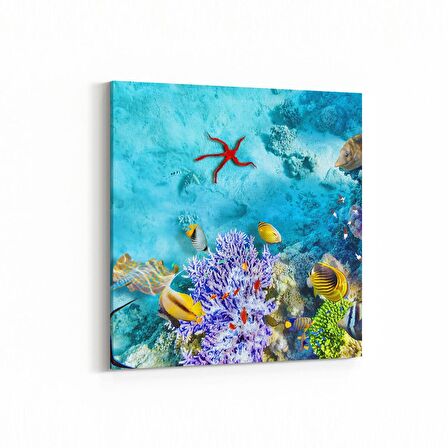 Olla 12129K Akvaryum / Balık Görseli Kare Kanvas Tablo (Ölçü: 60X60)