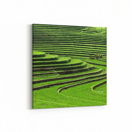 Olla 14153K Doğa / Manzara Görseli Kare Kanvas Tablo (Ölçü: 25X25)