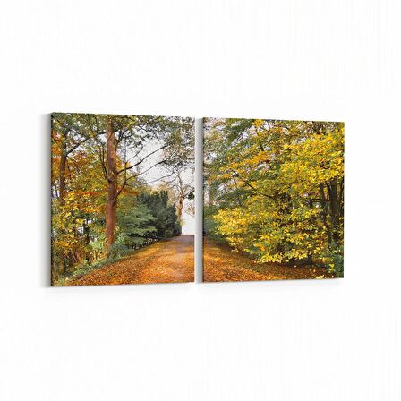 Olla 13273K2Y Doğa / Manzara Görseli Kare 2'li Yatay Kanvas Tablo (Ölçü: 145X70)