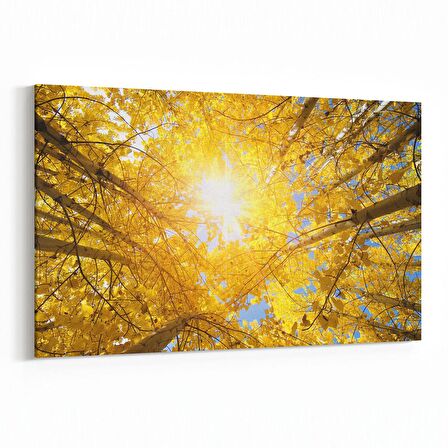 Olla 11024Y Ağaç Görseli Yatay Kanvas Tablo (Ölçü: 45X30)