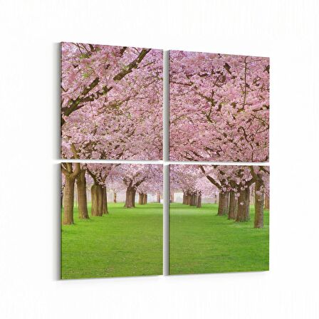 Olla 14054K4 Doğa / Manzara Görseli Kare 4'lü Kanvas Tablo (Ölçü: 145X145)