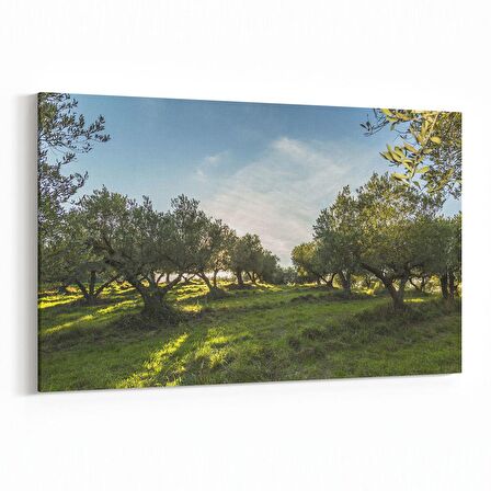 Olla 14244Y Doğa / Manzara Görseli Yatay Kanvas Tablo (Ölçü: 90X60)