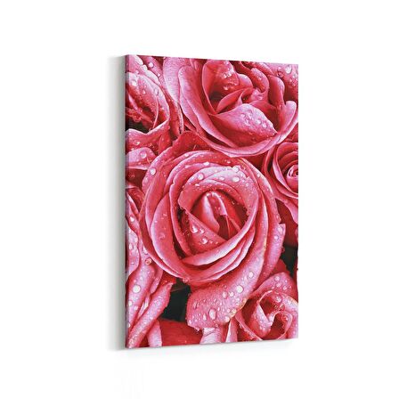 Olla 11640D Çiçek Görseli Dikey Kanvas Tablo (Ölçü: 60X90)