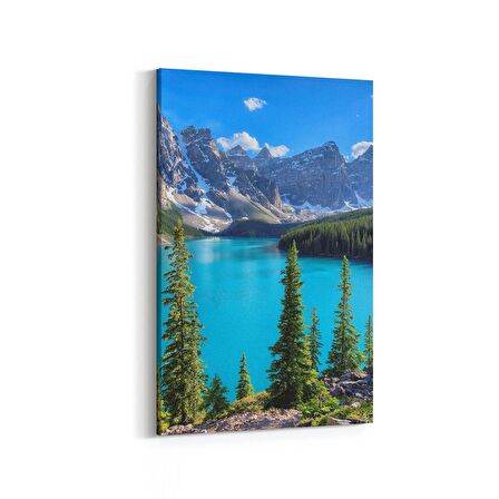 Olla 14443D Doğa / Manzara Görseli Dikey Kanvas Tablo (Ölçü: 60X90)