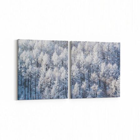 Olla 14255K2Y Doğa / Manzara Görseli Kare 2'li Yatay Kanvas Tablo (Ölçü: 105X50)