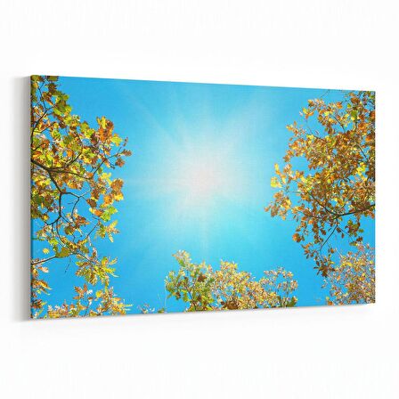 Olla 10520Y Ağaç Görseli Yatay Kanvas Tablo (Ölçü: 45X30)