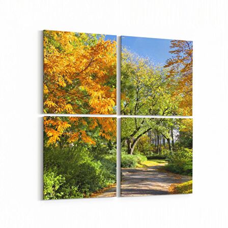 Olla 13272K4 Doğa / Manzara Görseli Kare 4'lü Kanvas Tablo (Ölçü: 125X125)