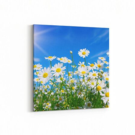 Olla 14323K Doğa / Manzara Görseli Kare Kanvas Tablo (Ölçü: 30X30)