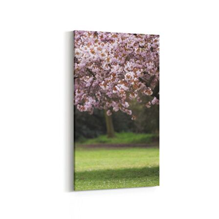 Olla 13444DD Doğa / Manzara Görseli Dikey Dar Kanvas Tablo (Ölçü: 40X80)