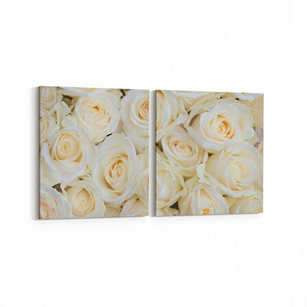 Olla 11608K2Y Çiçek Görseli Kare 2'li Yatay Kanvas Tablo (Ölçü: 65X30)