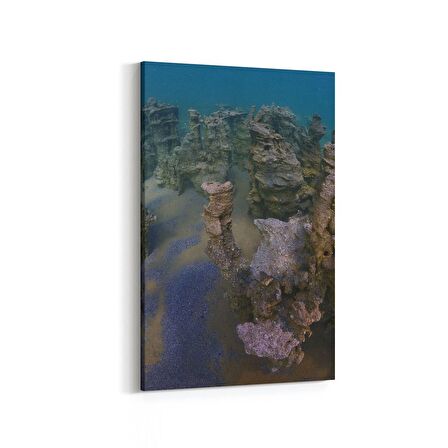 Olla 13269D Doğa / Manzara Görseli Dikey Kanvas Tablo (Ölçü: 20X30)