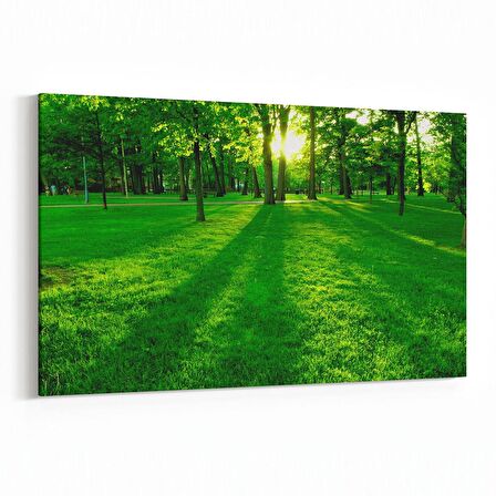 Olla 13929Y Doğa / Manzara Görseli Yatay Kanvas Tablo (Ölçü: 150X100)